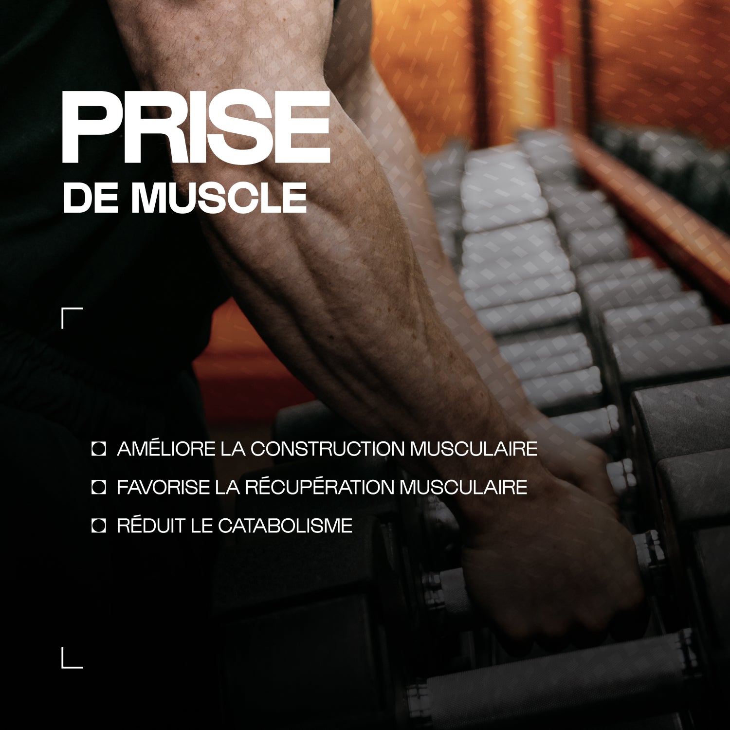 nutrimuscle-bio-prot-ine-d-oeuf-en-poudre-bio-1-kg-88 image 2