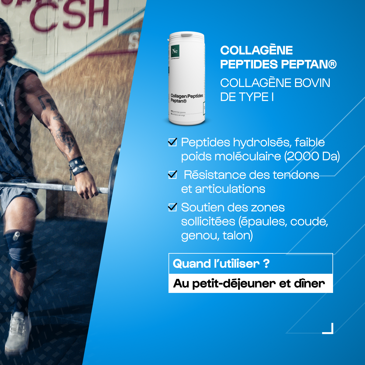 nutrimuscle-max-pack-cross-training-1-whey-force-tendons image 4