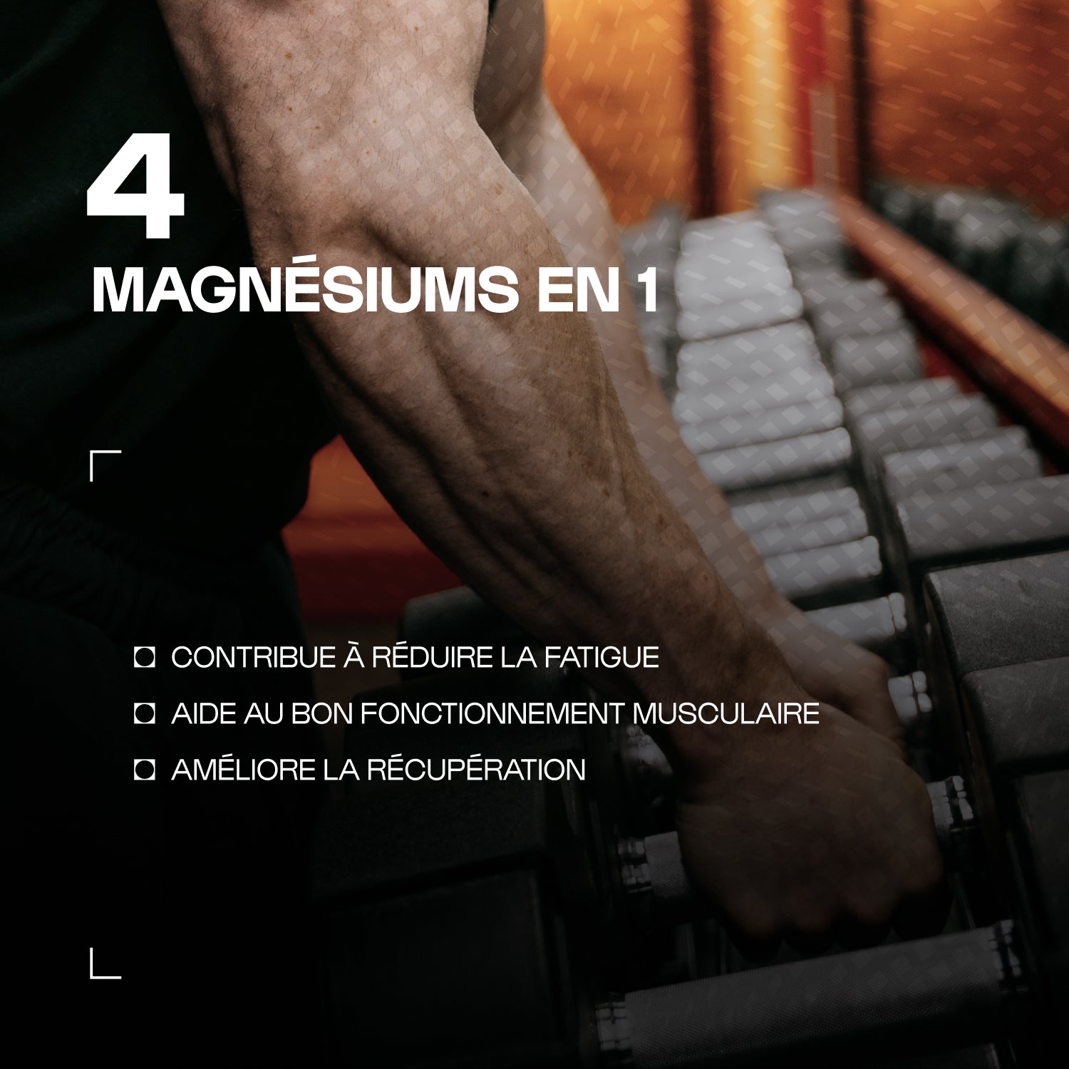 nutrimuscle-max-complexe-magn-sium-g-lules-60-g-lules image 2