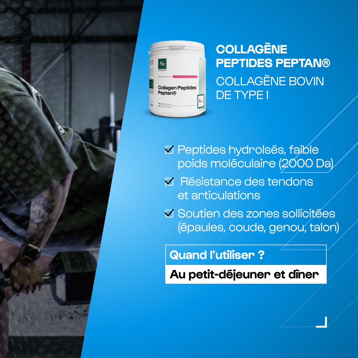 nutrimuscle-max-pack-rentr-e-coffret-performance-shaker image 6