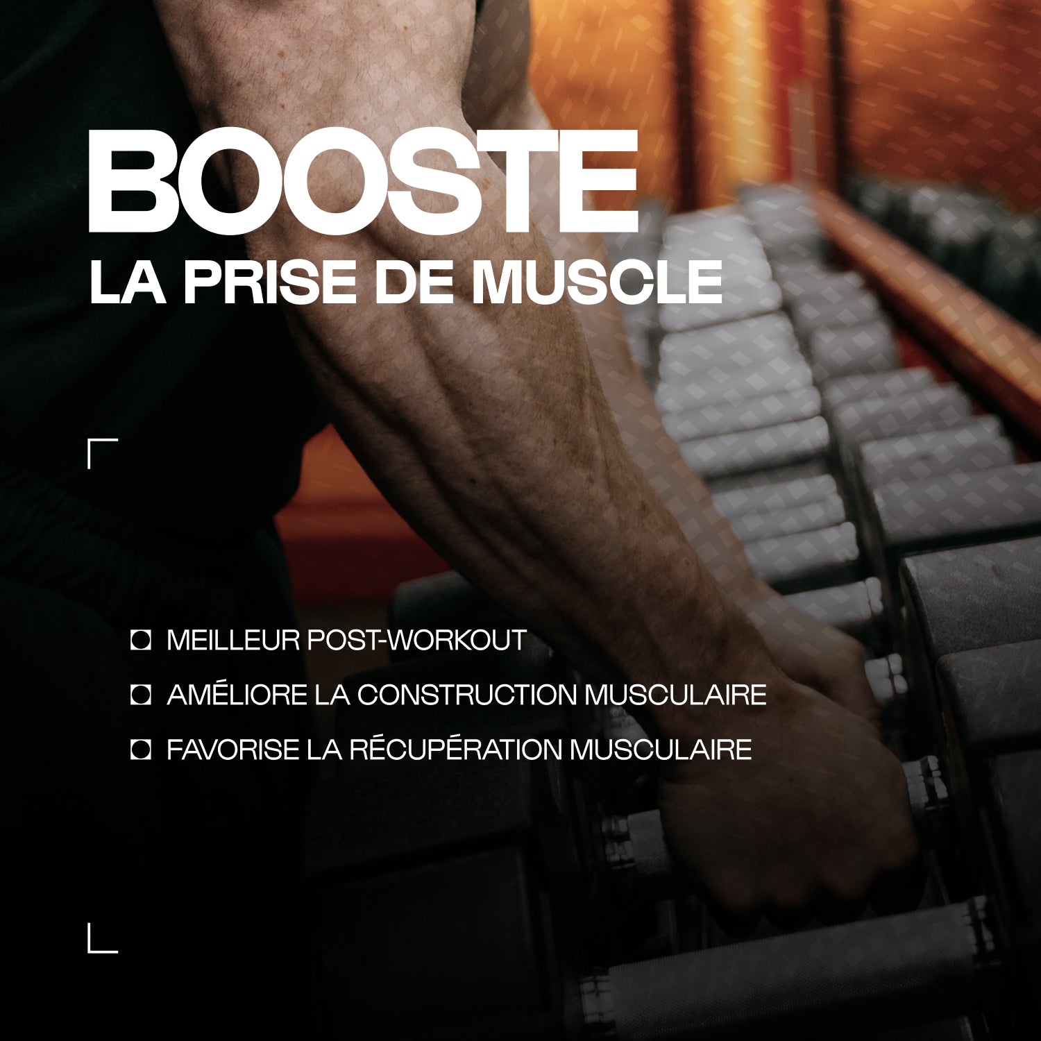 nutrimuscle-max-whey-native-isolate-prot-ine-500-g-chocolat image 2