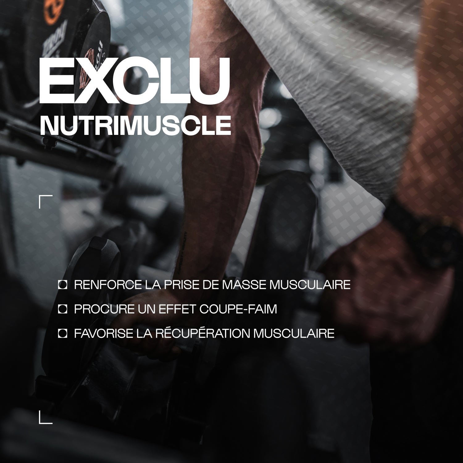 nutrimuscle-max-musclewhegg-prot-ine-vanille-1-kg image 2