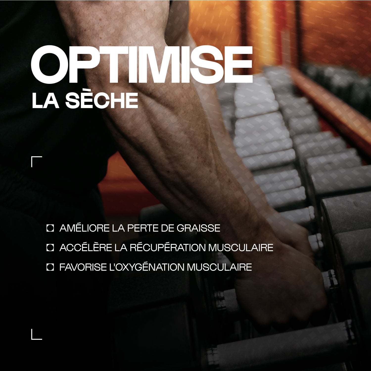 nutrimuscle-max-carnipure-l-carnitine-poudre-400-g image 2