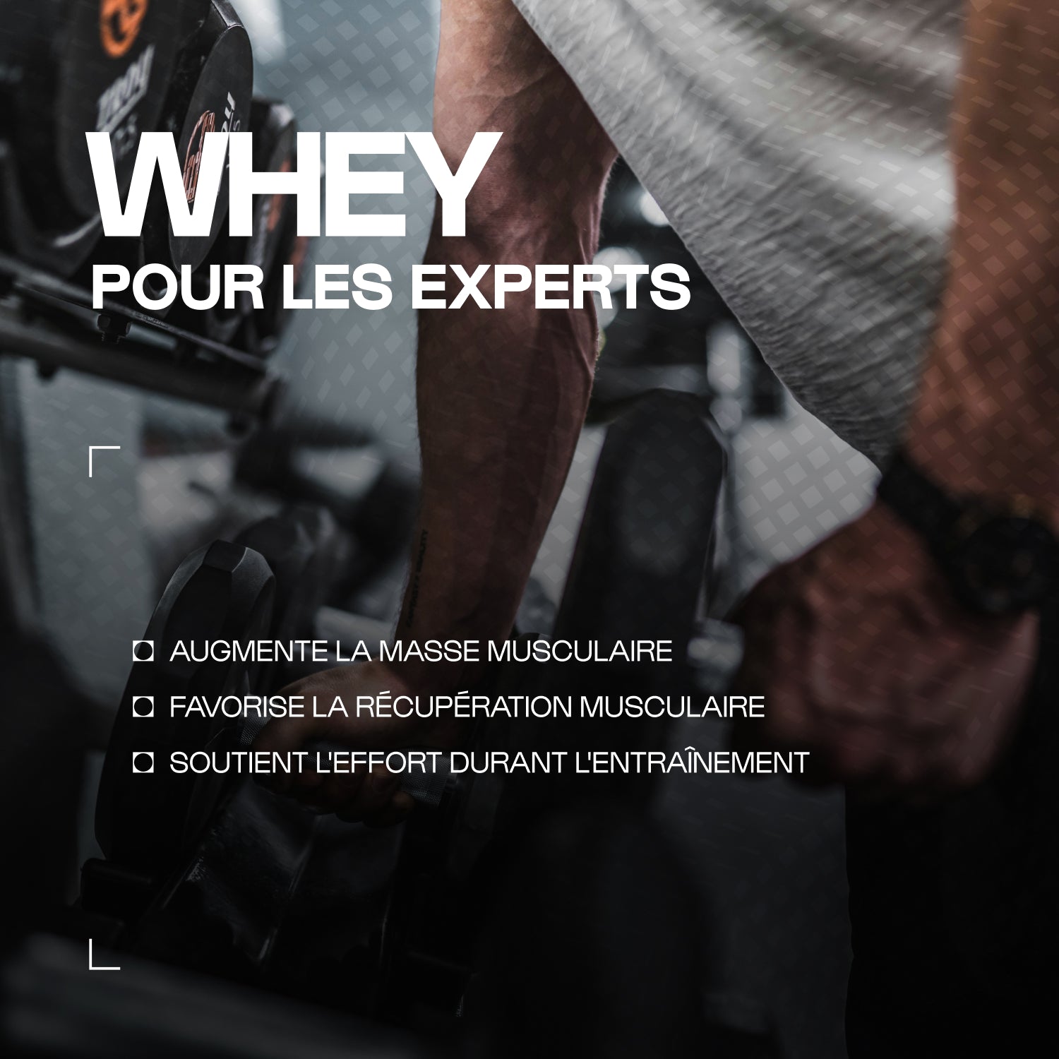 nutrimuscle-max-whey-hydrolys-e-native-prot-ine-1-20-kg-masse image 2