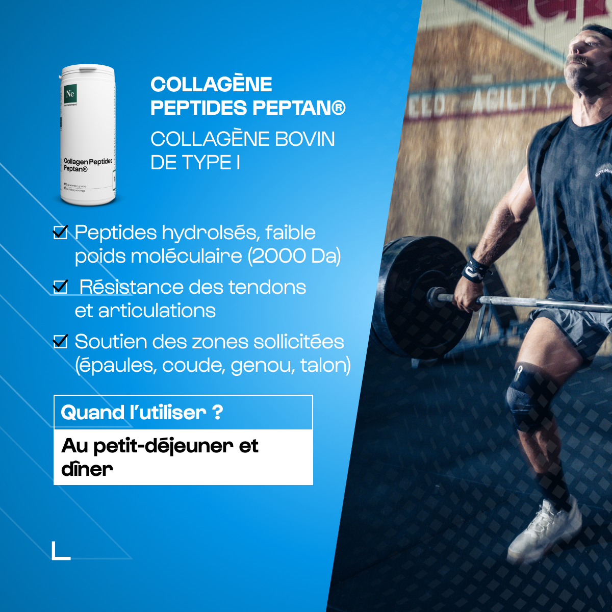 nutrimuscle-max-pack-power-base-prot-ines-cr-atine image 5