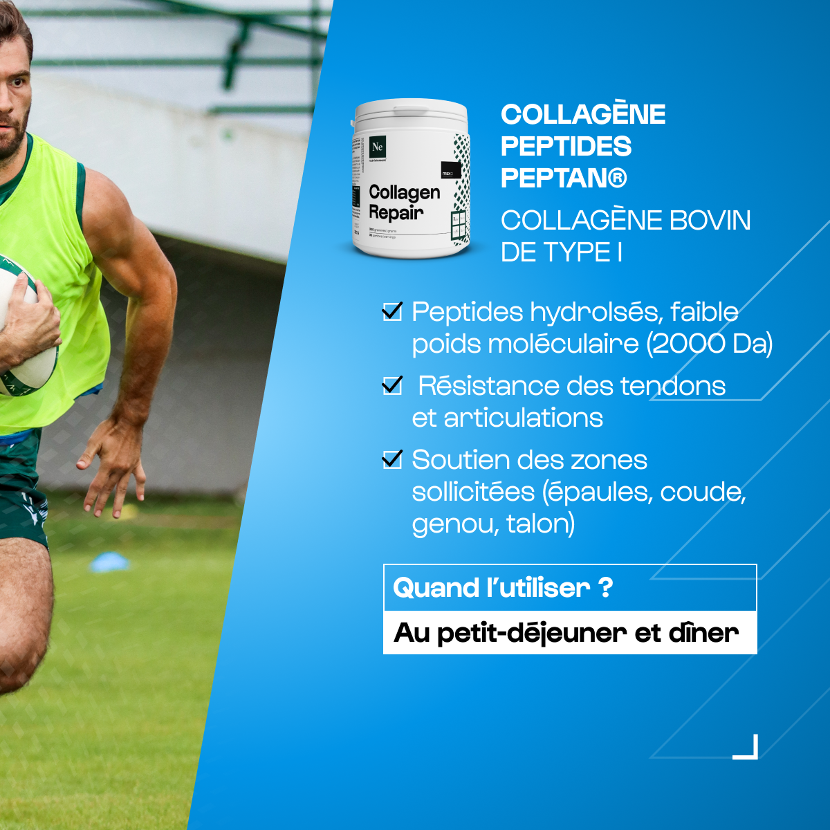 nutrimuscle-max-pack-rugby-pack-compl-ments-gainer-whey image 4