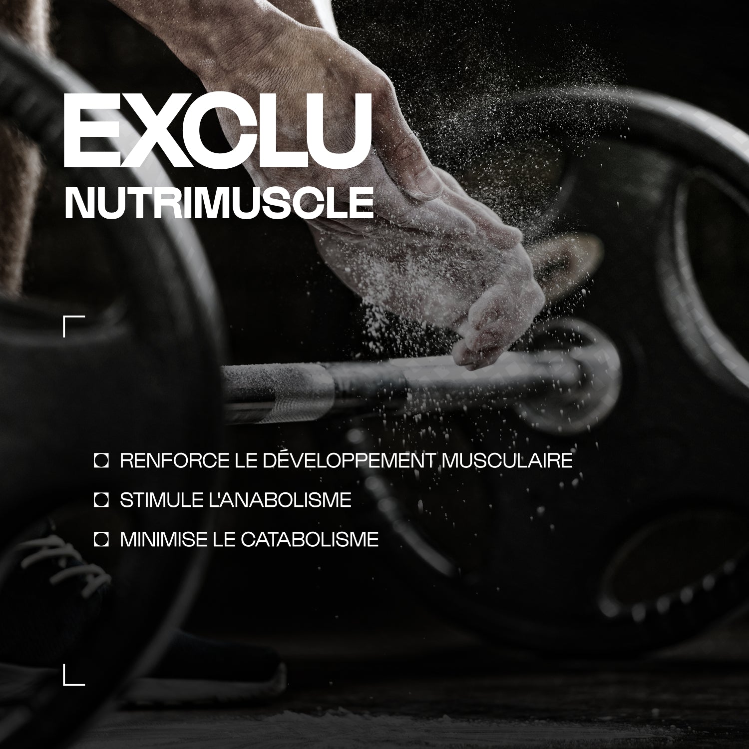 nutrimuscle-max-pure-milk-protein-chocolat-1-kg-cas-ine image 2